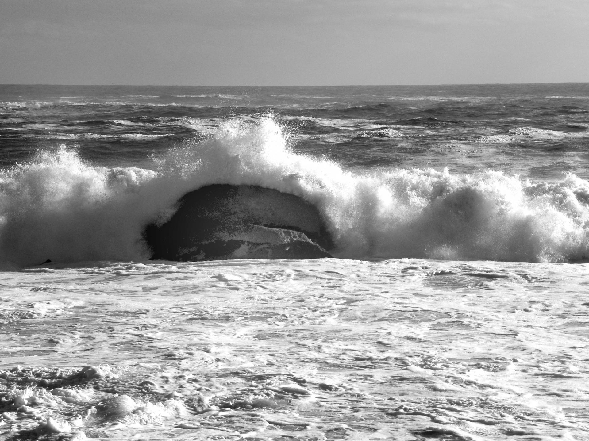 Waves in Campbay