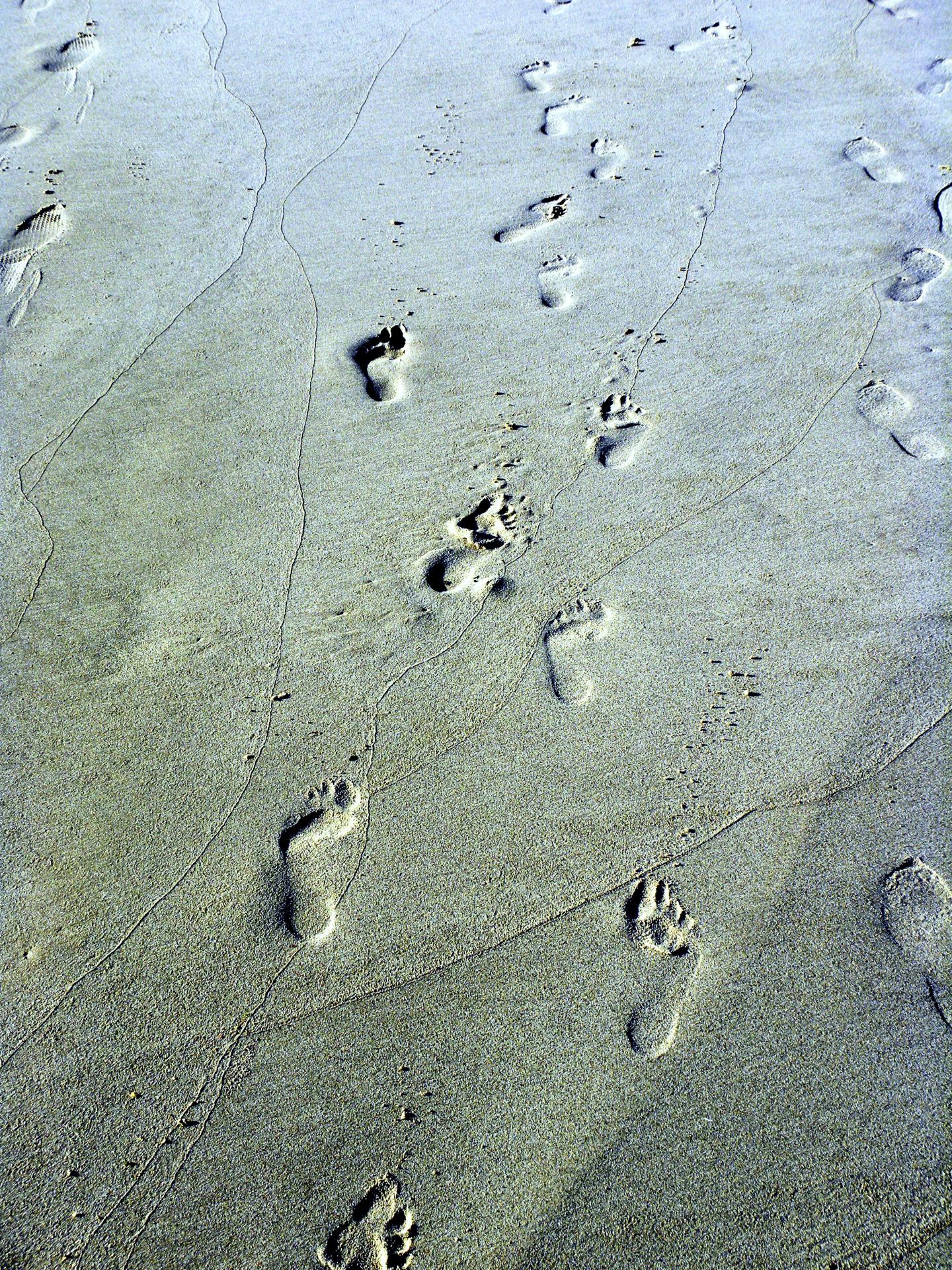 Sand in Campbay