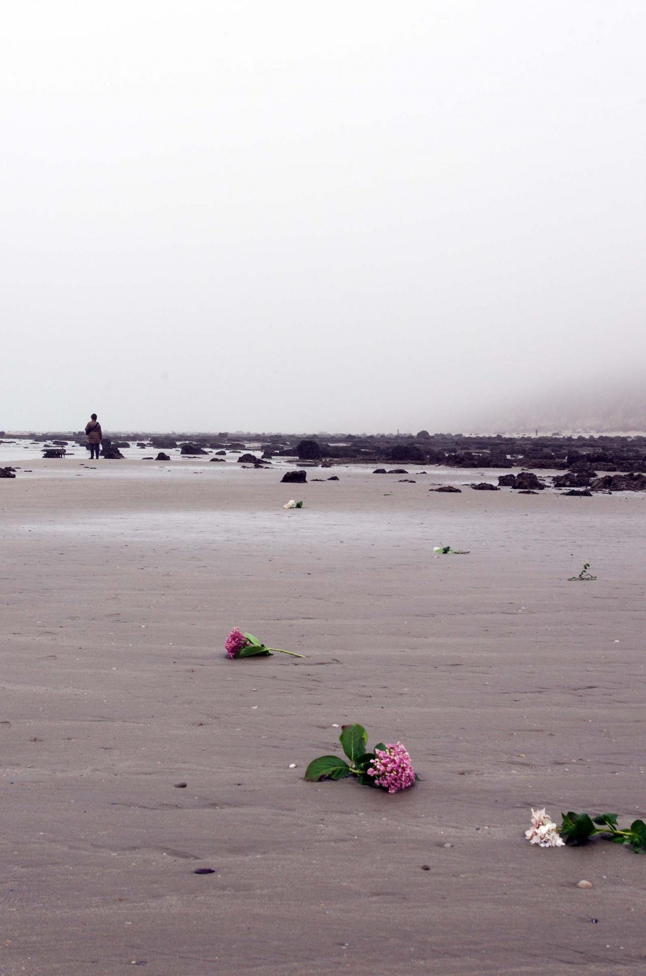 Plage de Trouville 1